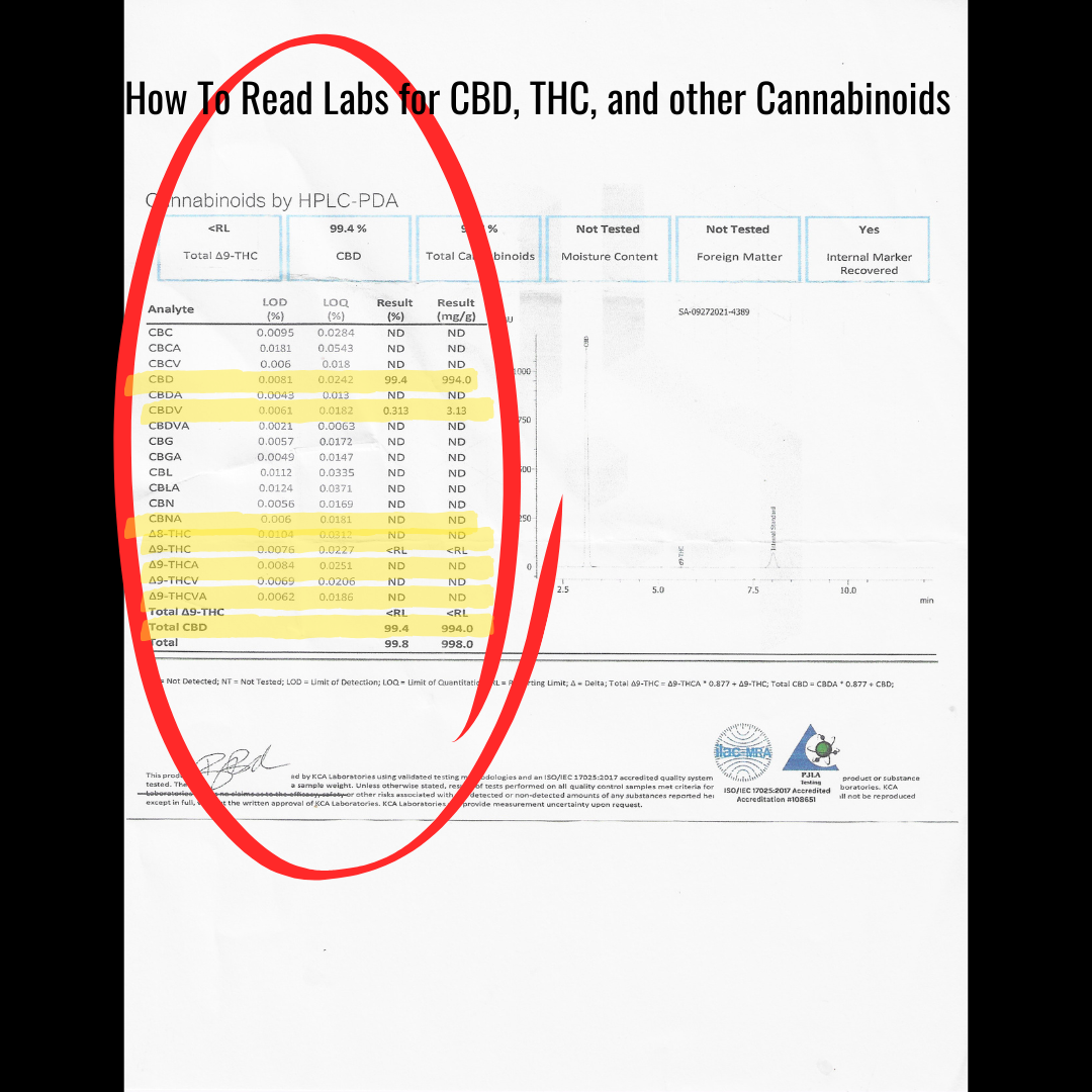 Why 0.3% THC Can Still Show Up on a Drug Test